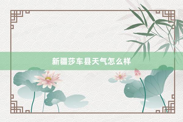 新疆莎车县天气怎么样