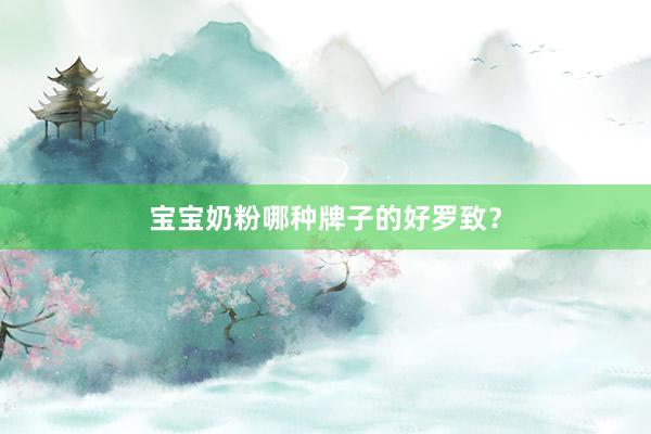 宝宝奶粉哪种牌子的好罗致？