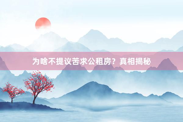 为啥不提议苦求公租房？真相揭秘